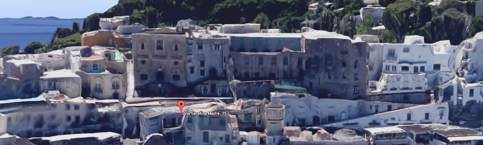 Monastero (immagine da Google Earth)